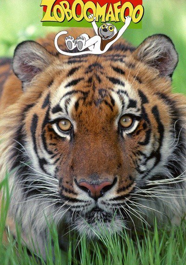 Zoboomafoo Season 1 watch full episodes streaming online